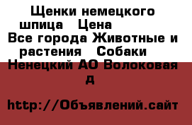 Щенки немецкого шпица › Цена ­ 20 000 - Все города Животные и растения » Собаки   . Ненецкий АО,Волоковая д.